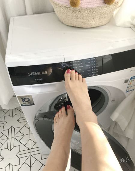 老旦是一棵树