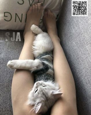 漫画网站登录页面免费漫画