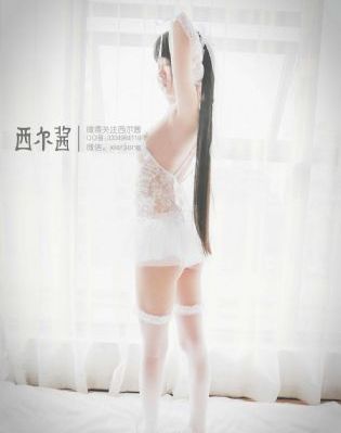 鹰神传奇电影免费观看高清版国语
