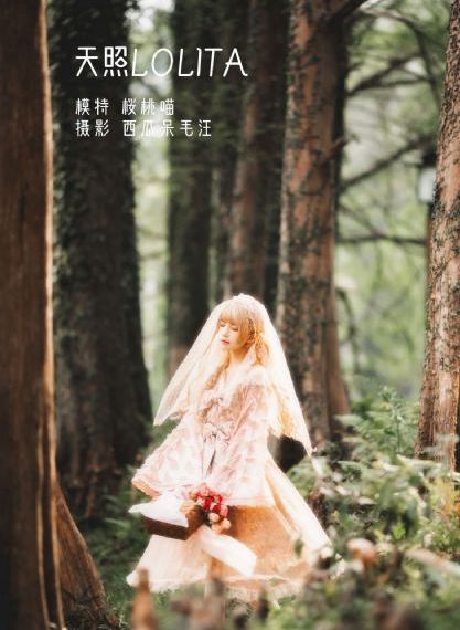 饕餮记在线观看